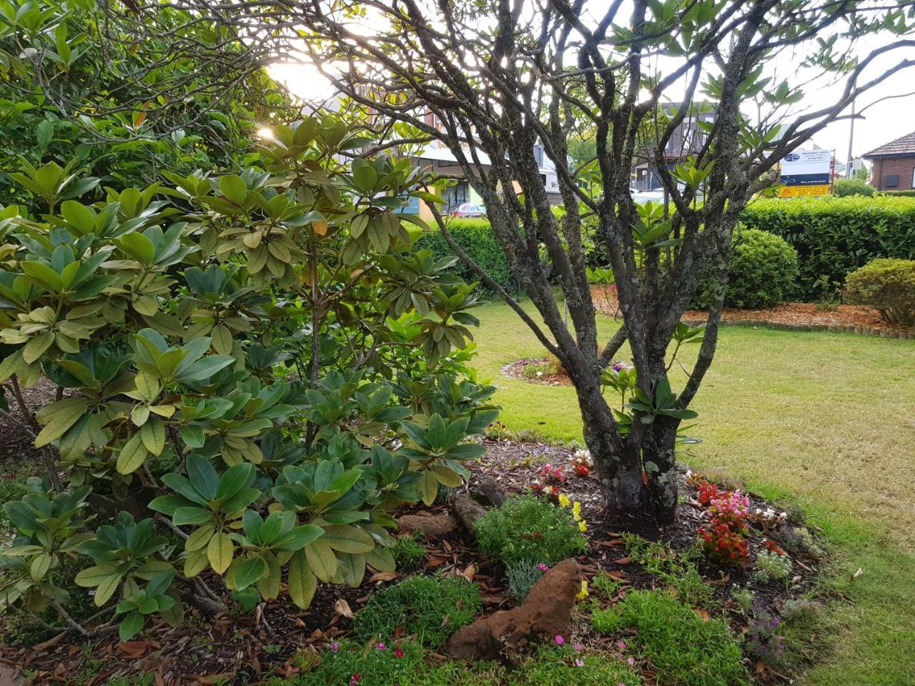 Glenella Guesthouse Blackheath Buitenkant foto
